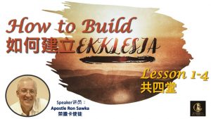 How to build Ekklesia